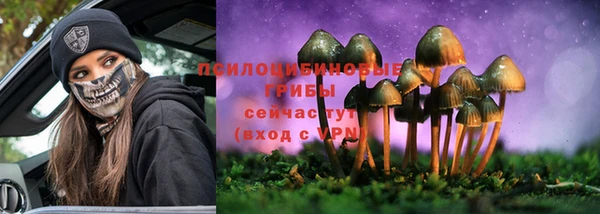 МДМА Ельня